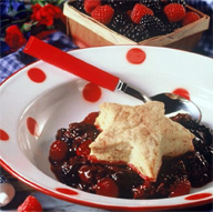 <b>Triple Your Taste Experience With Berry Cobbler</b>“></td><td><p>(<a href=